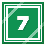Day 7