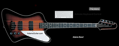 Bass guitar