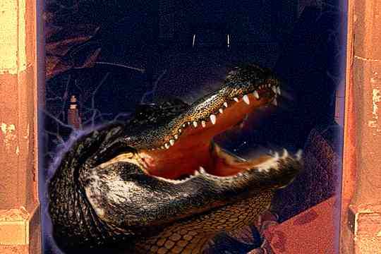 Monster attack!
