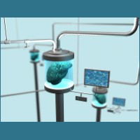 brainfreeze1_800x600.jpg