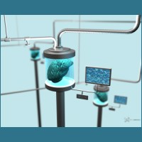 brainfreeze4_1280x1024.jpg