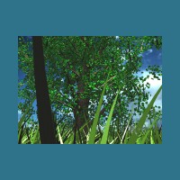 emeraldtree0_640x480.jpg