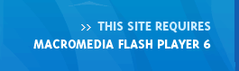 This site requires Macromedia Flash Player 6